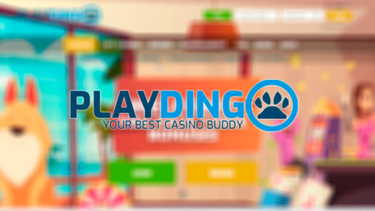 PlayDingo Casino