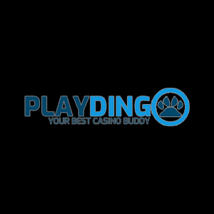 playdingo logo