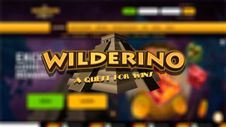 Wilderino casino no deposit bonus promo